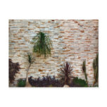 city garden post card