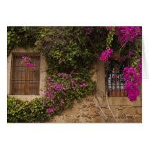 Ciudad Monumental, flower-covered buildings 2 Greeting Card