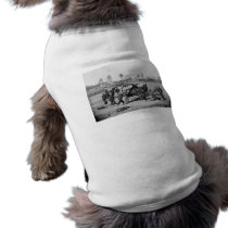 Civil War Ambulance Crew Pet Tee