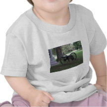 Civil War Cannon in Gettysburg T Shirts