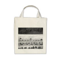 Civil War Cannons Photograph Bags