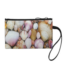 Clam Shell Coin Purse