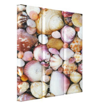 Clam Shell Gallery Wrap Canvas
