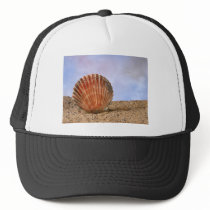 Clam shell trucker hat