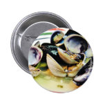 Clams Muscles Shellfish Food Buttons