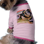 Clams Muscles Shellfish Food pet clothing