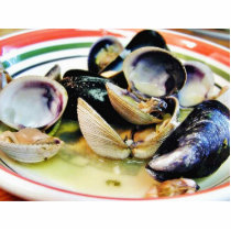 Clams Muscles Shellfish Food Cut Out