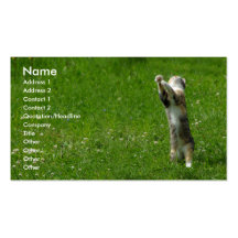 Clap your hands #1 business card