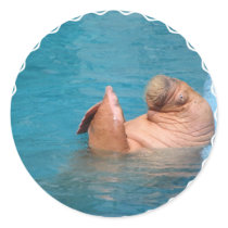 Clapping Walrus Stickers