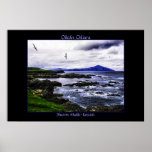 Clare Island Birds Poster Print