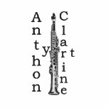 Clarinet Polo embroidered shirts