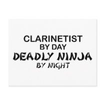 Clarinetist Deadly Ninja by Night