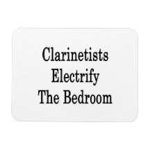 Clarinetists Electrify The Bedroom Rectangle Magnet