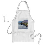 Clark Fork Missoula River Apron