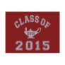 Class Of 2015 BSN - Grey 2 Postcard