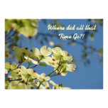 Class Reunion School Reunion Invitation Cards