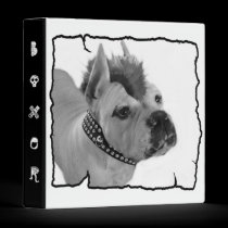 Classeur blanc de punk de boxeur classeur