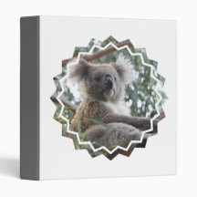Classeur de faits d'ours de koala