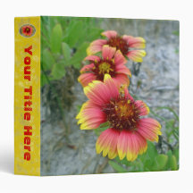 Classeur de fleur sauvage de Gaillardia (fleur cou