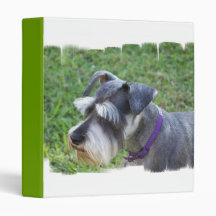 Classeur de Schnauzer