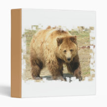 Classeur d'ours gris