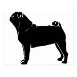 Classic Black Pug Design Postcard