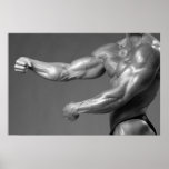 Classic Bodybuilding Gym Wall Arm Poster