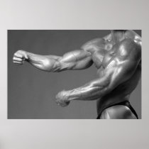 Classic Bodybuilding Gym Wall Arm Poster