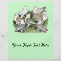 Classic Frill Pigeons Custom Flyer