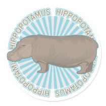 Classic Hippopotamus