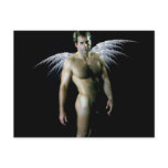 Classic Male Nude Angel Postcards