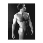 Classic Nude Male Postcard