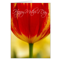 Classic Red Tulip Mother's Day Card