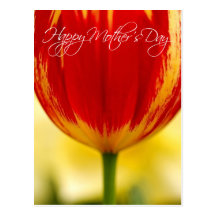 Classic Red Tulip Mother's Day Postcard