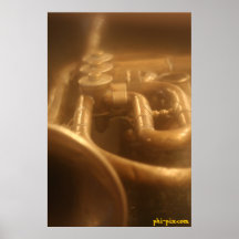 Classy Brass Posters