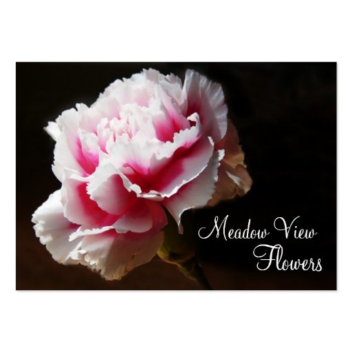 Classy Pink Carnation Floral Photo Business Cards