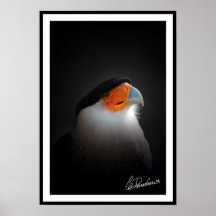 Claude Desrochers mexican eagle Print