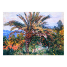 Claude Monet: Palm Tree at Bordighera Announcements