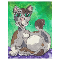 Claudia the Calico Cat