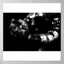 Claw Print
