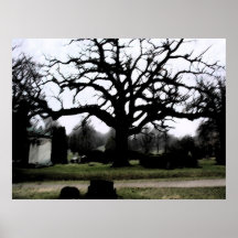 Claw Tree Print