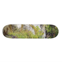 Clean Cold Stream In High Tatras In Slovakia Custom Skateboard