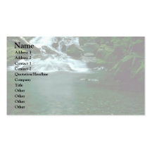 Clean Green Waters Business Card
