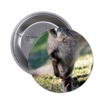 Clean Kangaroo Button