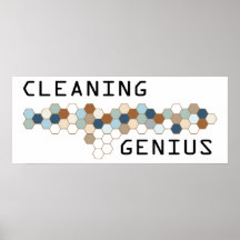 Cleaning Genius Posters
