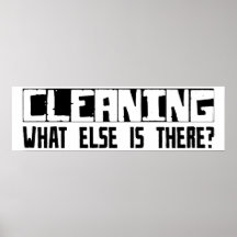 Cleaning What Else Is There? Posters