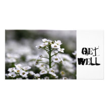 clear crystal white alyssum, GetWell! Custom Photo Card