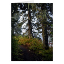 Clear Lake Trail Greeting Cards