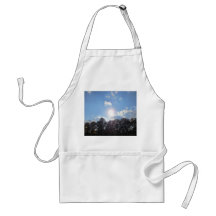 Clear Skies Apron