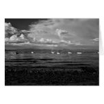 Clearing summer storm Lake Tahoe Cards